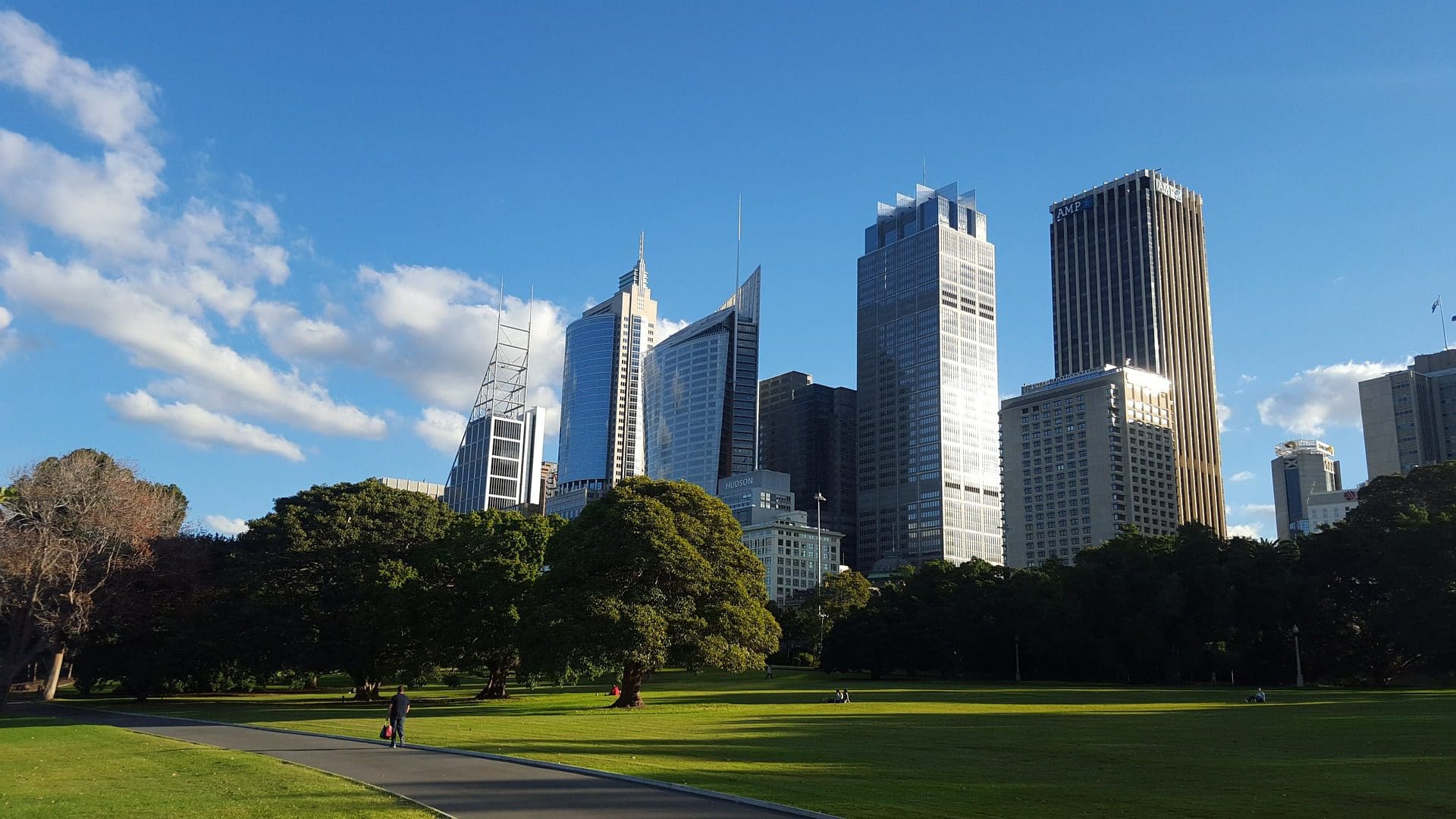 A park with trees and buildings in the background.